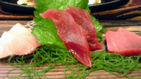 Maguro1