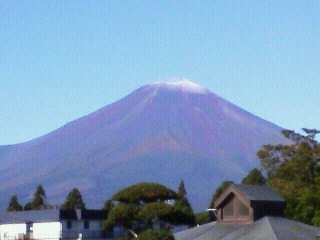 初冠雪